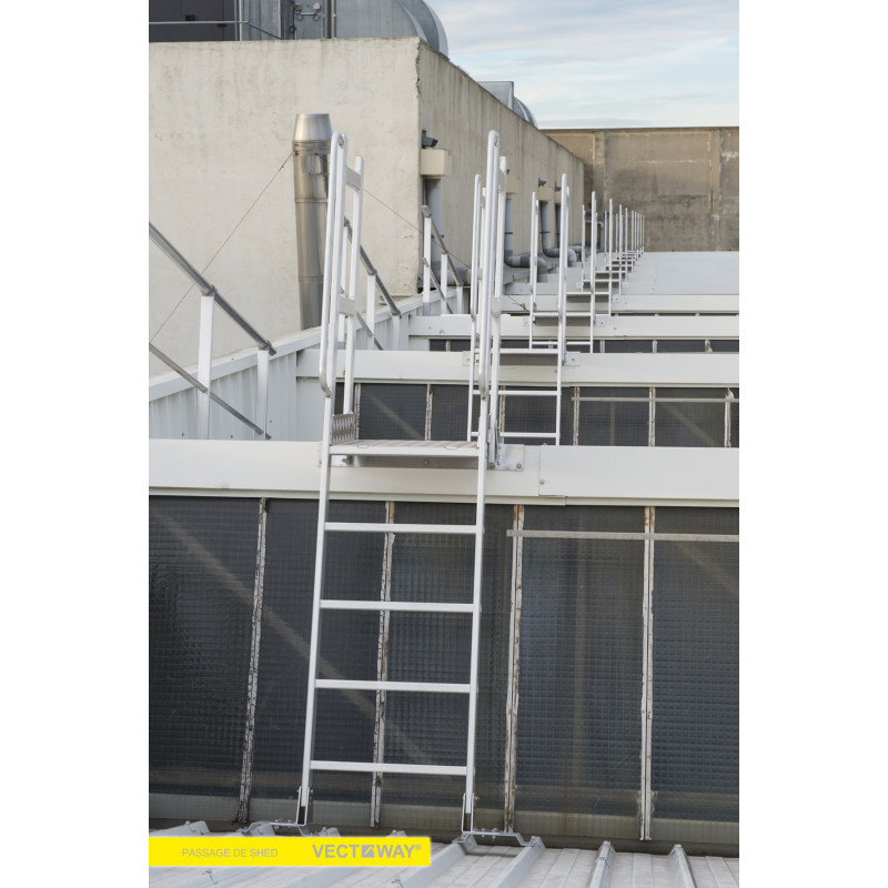 Passerelle de franchissement 5x5 marches Vectaway