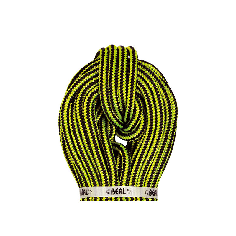 Corde d'élagage Ginkgo 12 mm Beal Corde d'élagage Ginkgo 12 mm Beal