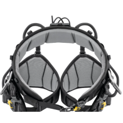 PETZL - Harnais cuissard d'élagage - SEQUOIA®