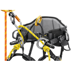 PETZL - Harnais cuissard d'élagage - SEQUOIA®