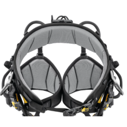 PETZL - Harnais cuissard d'élagage - SEQUOIA® PLUS