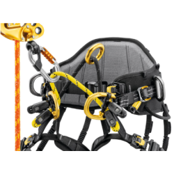 PETZL - Harnais cuissard d'élagage - SEQUOIA® PLUS