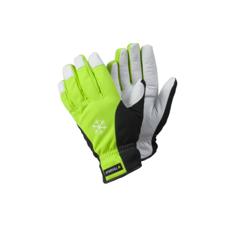 GANT TEGERA 293 CUIR CHEVRE T9