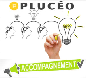Expertise, vente, conseils et accompagnement : ce que PLUCEO peut vous apporter