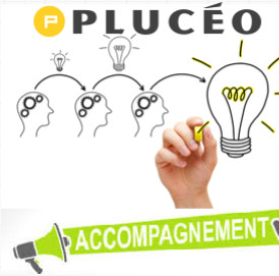 Expertise, vente, conseils et accompagnement : ce que PLUCEO peut vous apporter